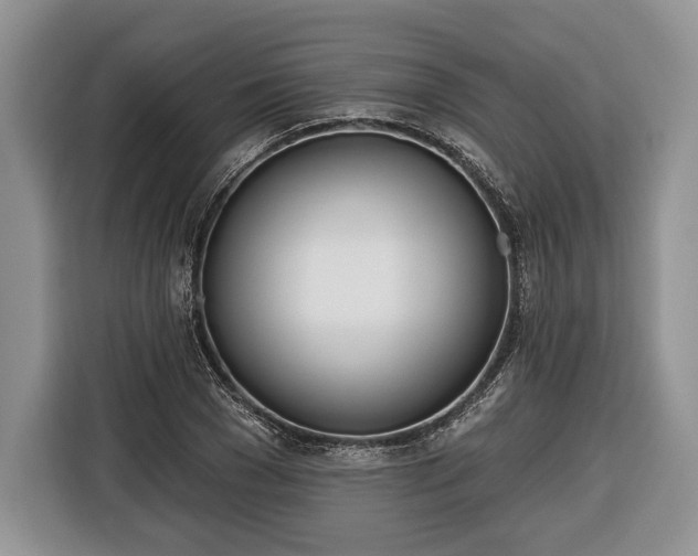 X0000116380977200912091411