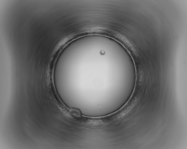 X0000116380978200912091411