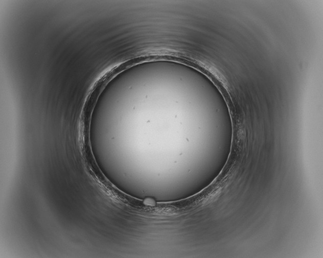 X0000116380979200912091411