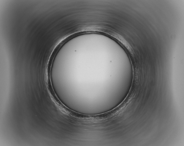 X0000116380980200912091411