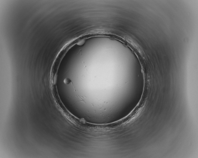 X0000116380981200912091411