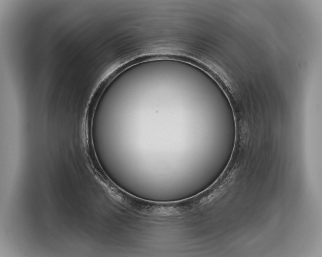 X0000116380982200912091411