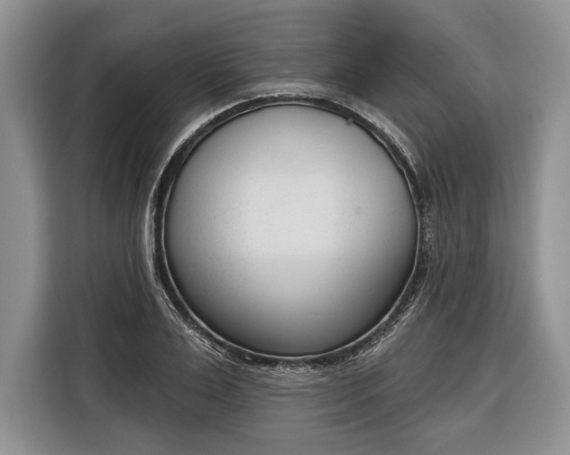 X0000116380983200912091411