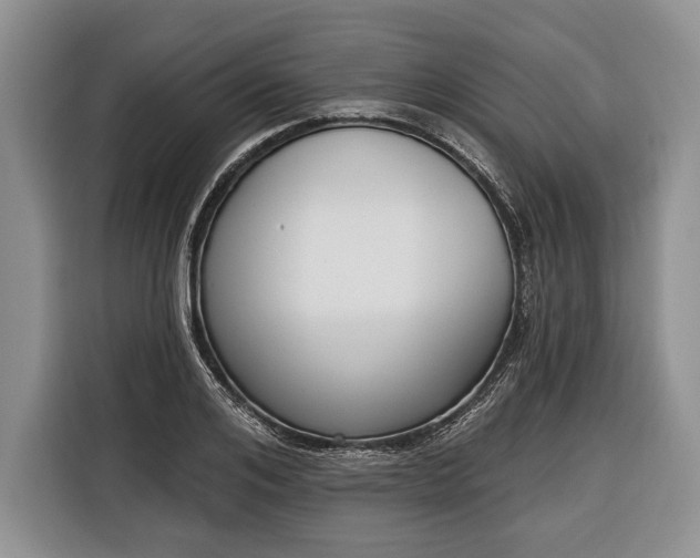 X0000116380984200912091411