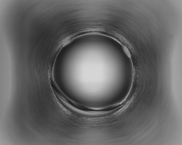X0000116380985200912091411