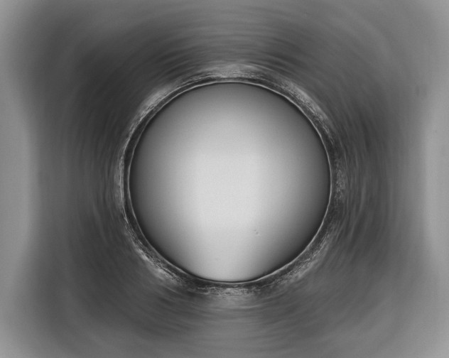 X0000116380986200912091411