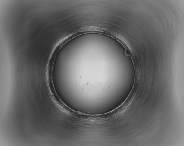 X0000116380987200912091411