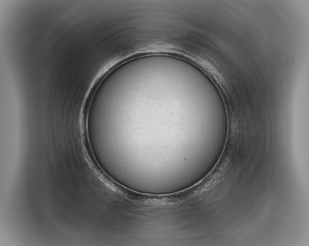 X0000116380990200912091411