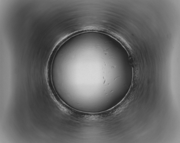 X0000116380991200912091411
