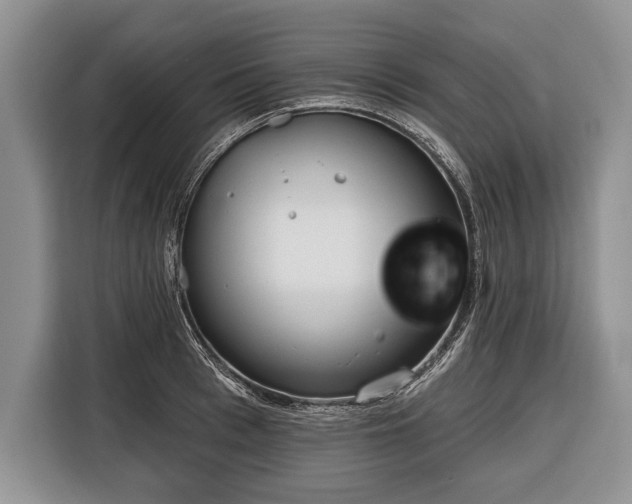 X0000116380993200912091411