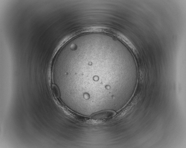 X0000116380994200912091411