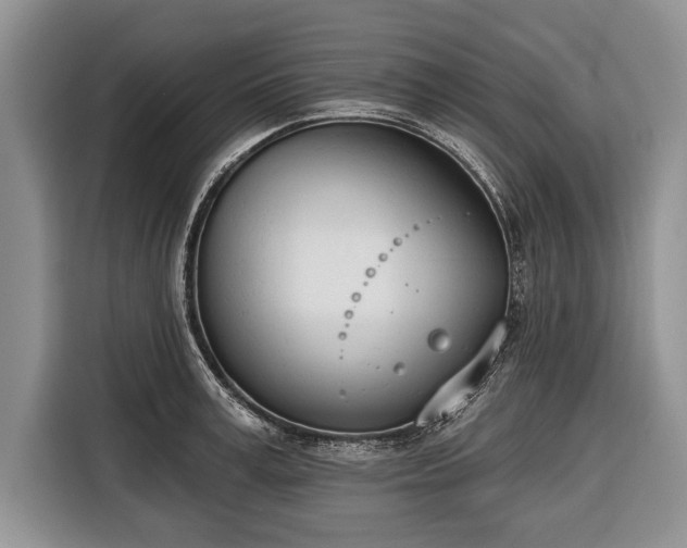X0000116380995200912091411
