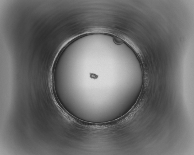 X0000116380996200912091411