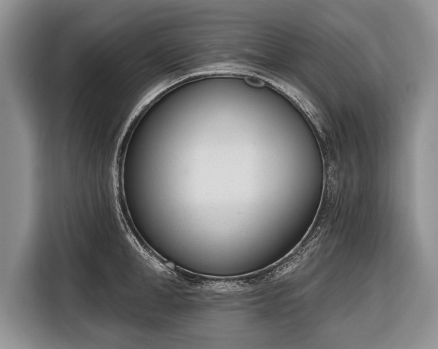 X0000116380998200912091411