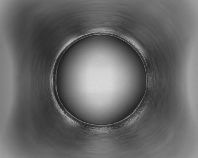 X0000116380999200912091411