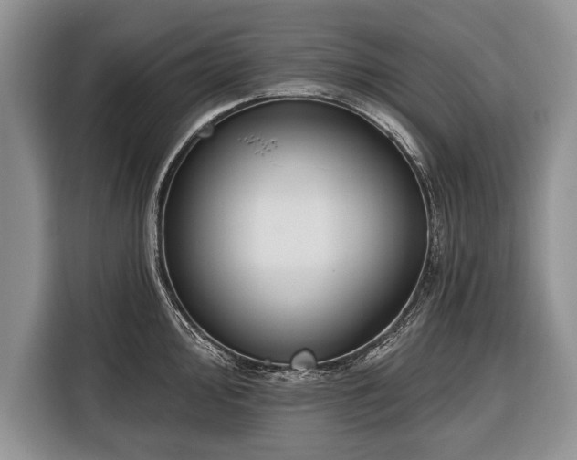 X0000116381000200912091411