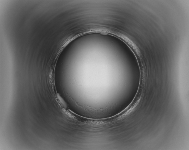 X0000116381001200912091411