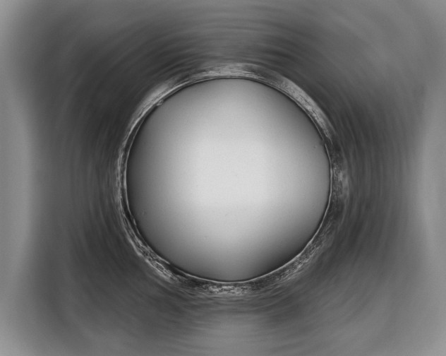 X0000116381002200912091411