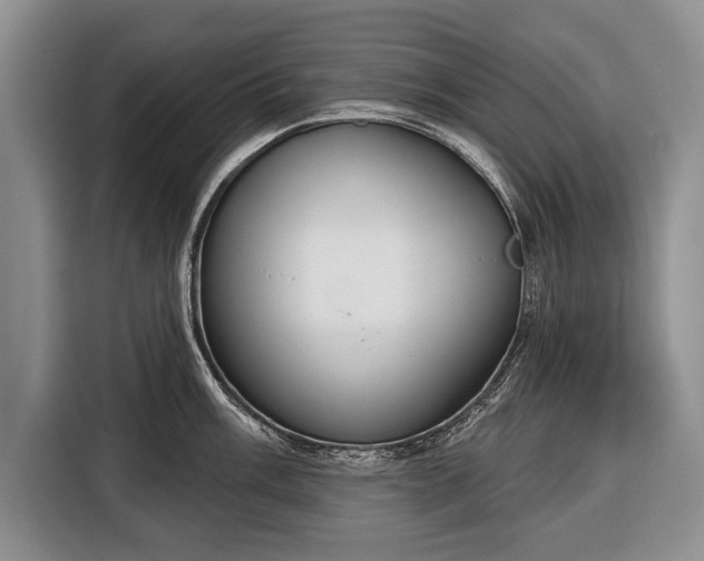 X0000116381003200912091411