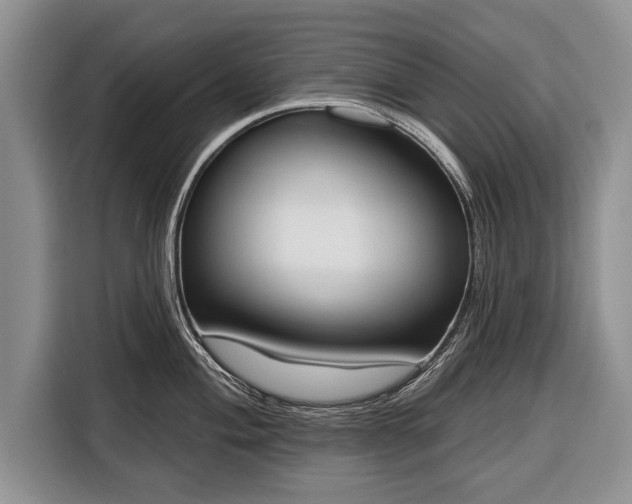 X0000116381004200912091411