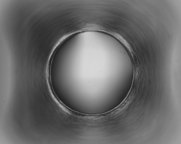 X0000116381005200912091411