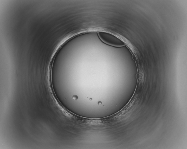X0000116381006200912091411