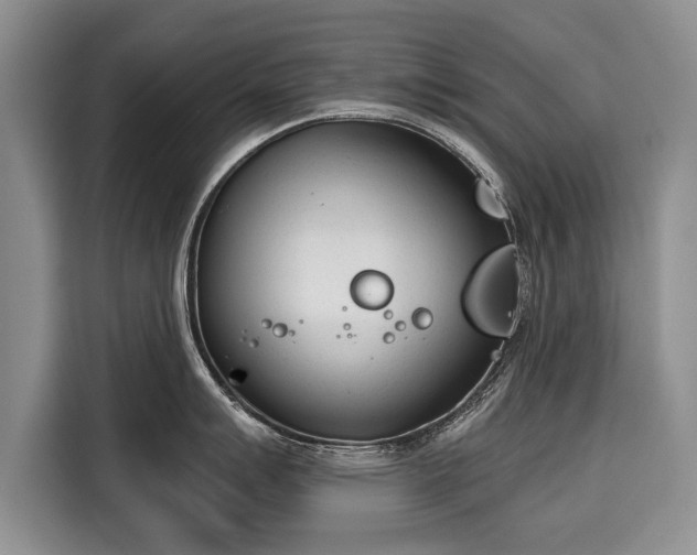 X0000116381007200912091411