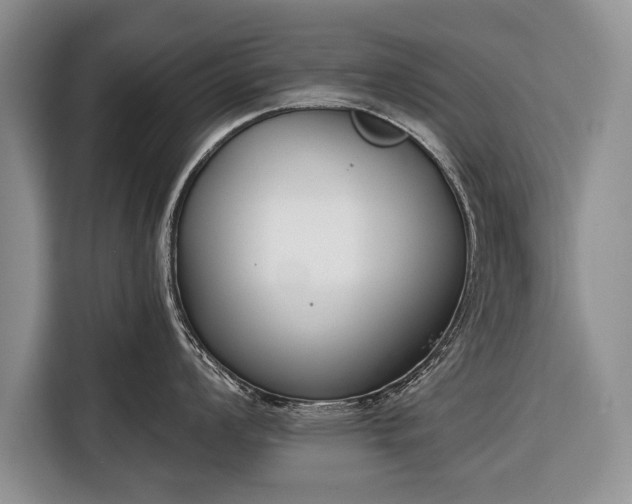X0000116381008200912091411