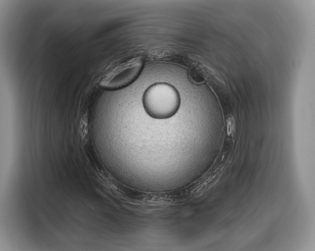 X0000116381011200912091410