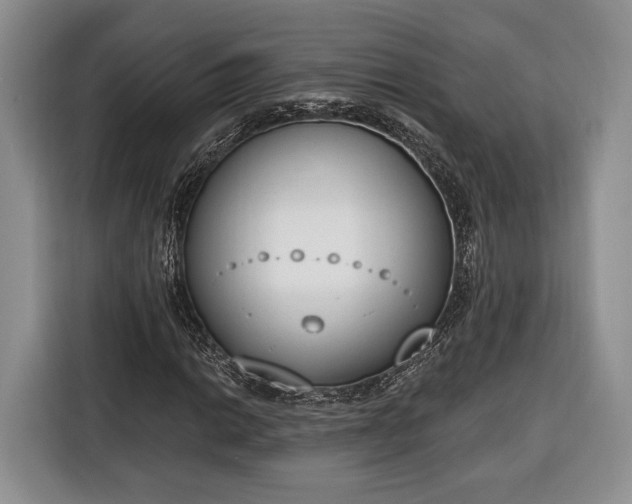 X0000116381014200912091410