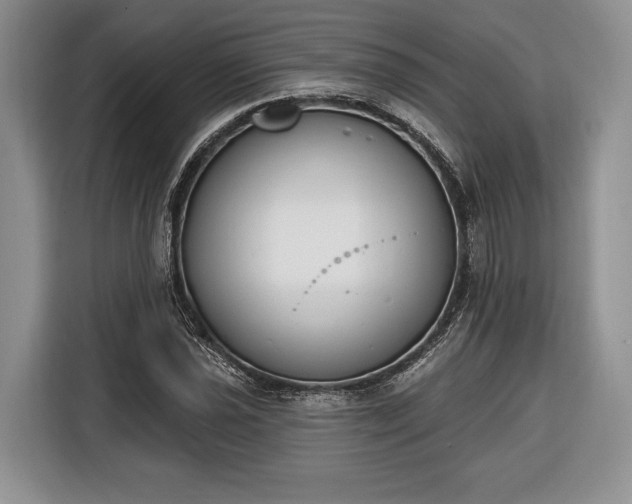 X0000116381021200912091410