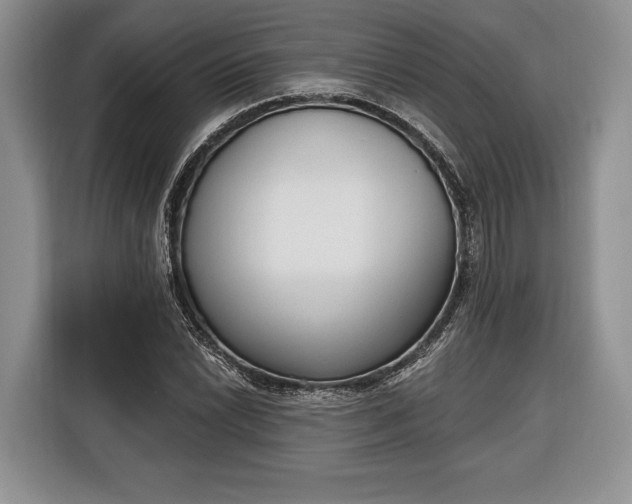 X0000116381022200912091410