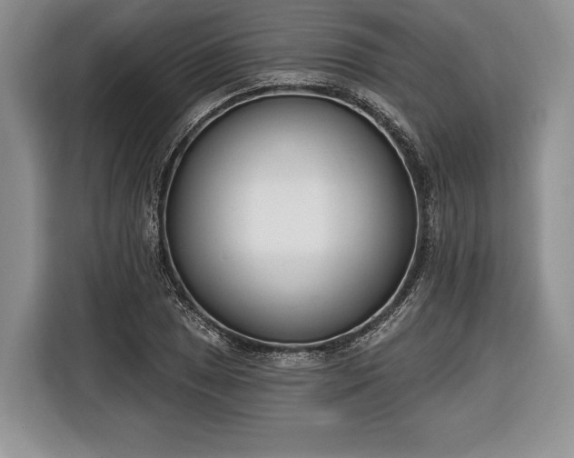 X0000116381025200912091410