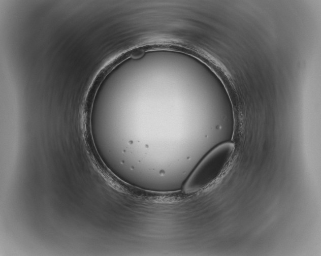X0000116381029200912091410
