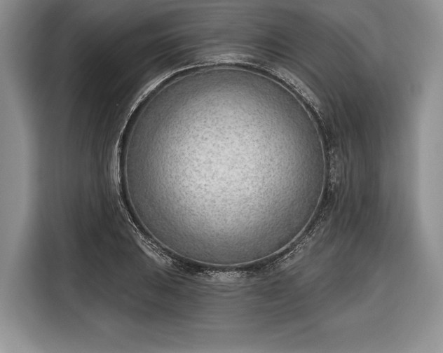 X0000116381031200912091410
