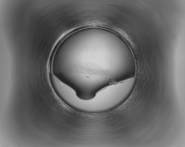 X0000116381032200912091410