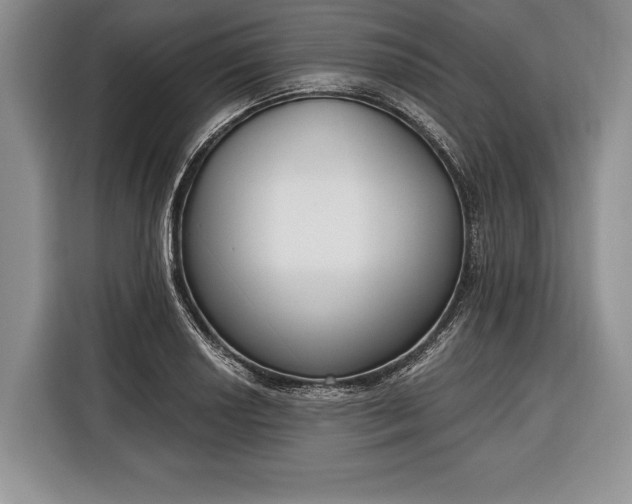 X0000116381034200912091410