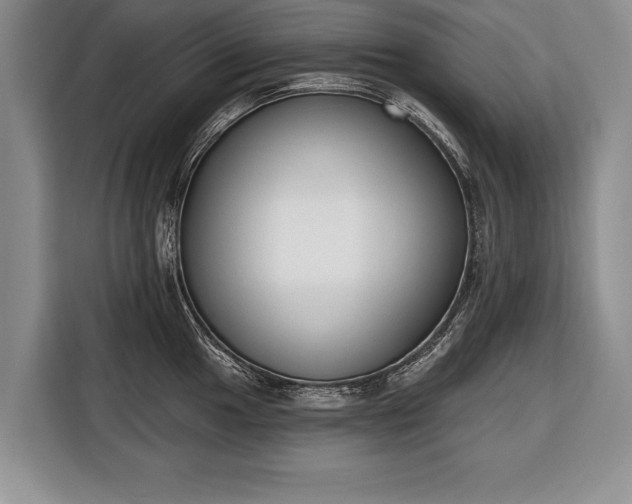 X0000116381049200912091411