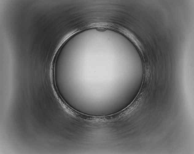 X0000116381050200912091411