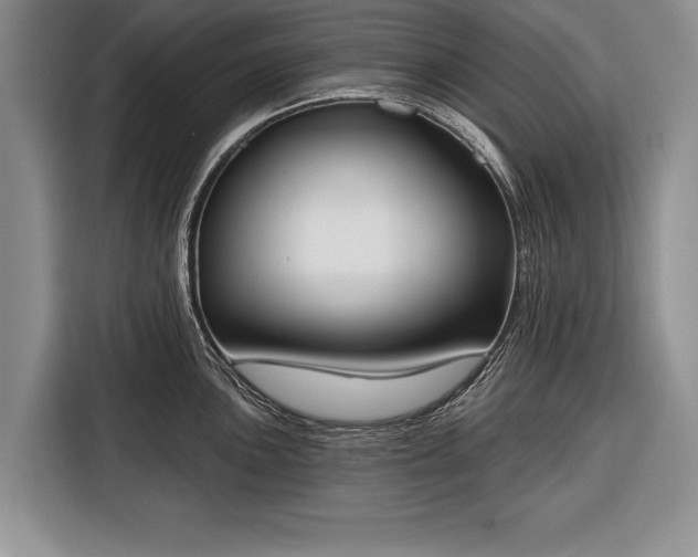 X0000116381051200912091411
