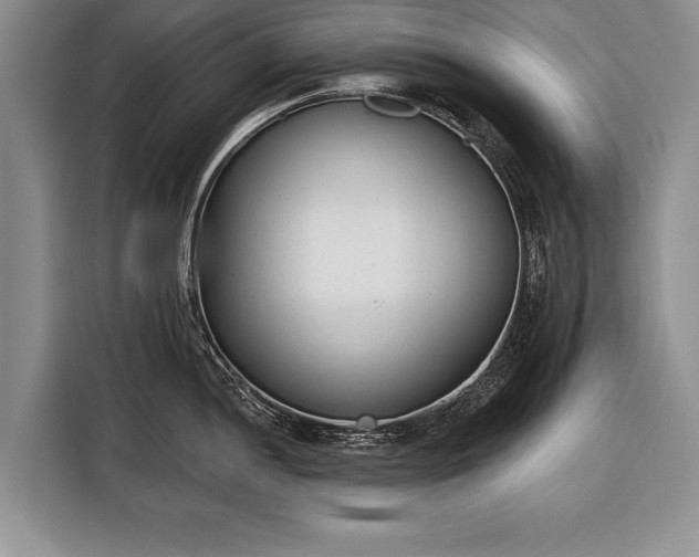 X0000116381052200912091411