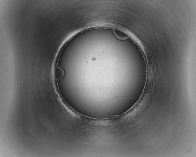 X0000116381053200912091411