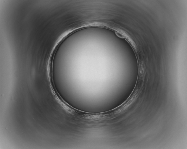 X0000116381054200912091411