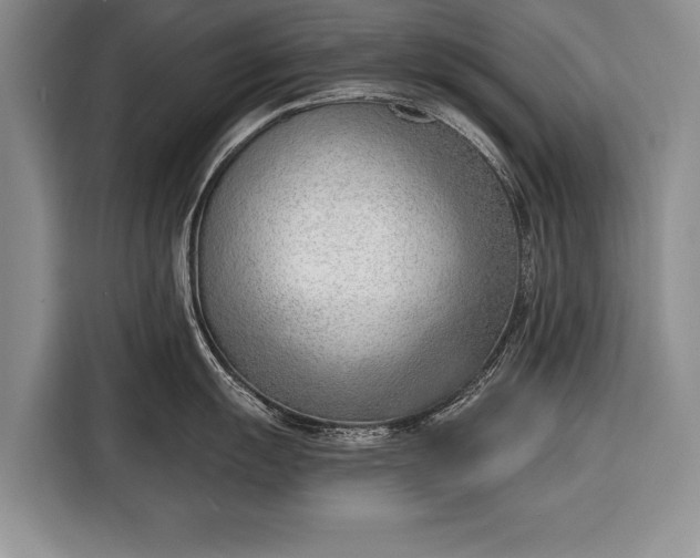 X0000116381055200912091411