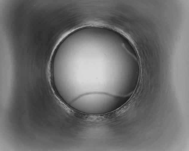 X0000116381056200912091411