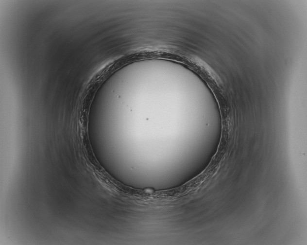 X0000116381064200912091410