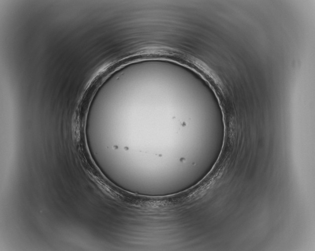 X0000116381067200912091410