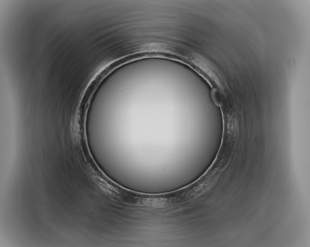 X0000116381068200912091410