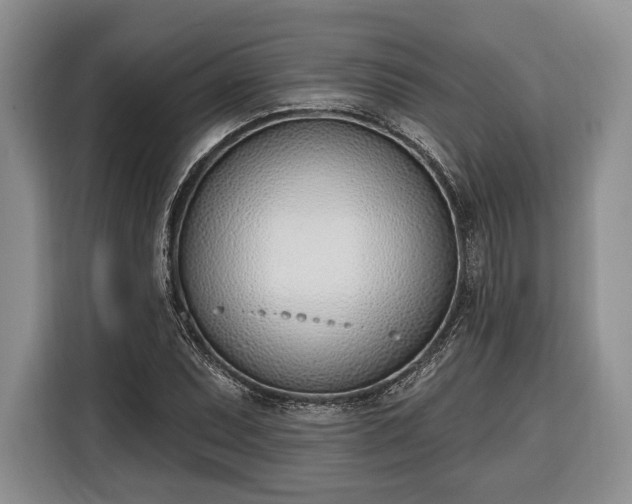 X0000116381071200912091410