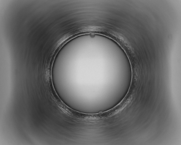 X0000116381073200912091410